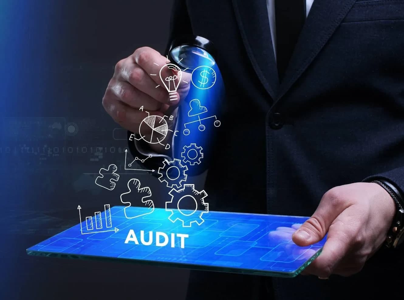 Compliance, IT and Performance Audit - Détails